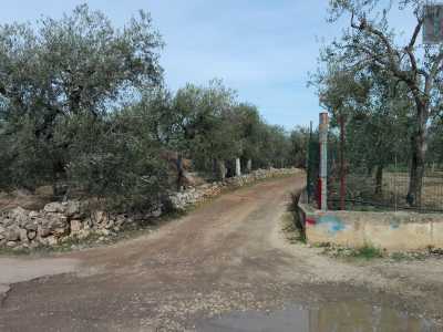 Giungere alla torre non � affatto semplice: si trova in via dell�Annunziata e si inserisce in quella contrada Misciano contraddistinta da antichi ipogei e masserie